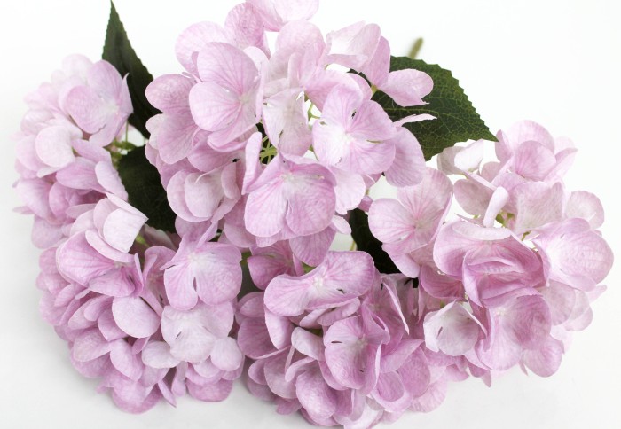 Б11869 Б/С Букет гортензия 5г."Голден Аннабель"43см(10шт)