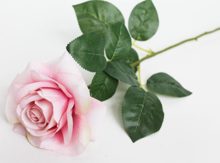 О10992 Б/С Роза открыт.по расцветкам"Глория Дэй"Н72см(100шт)