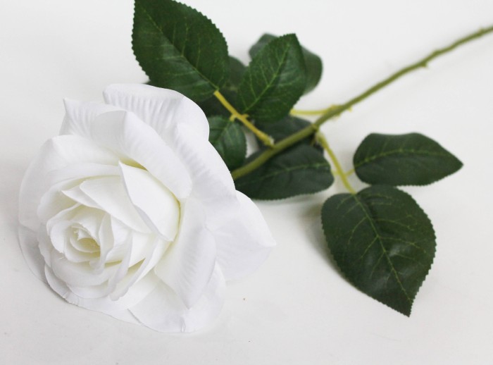 О10992 Б/С Роза открыт.по расцветкам"Глория Дэй"Н72см(100шт)