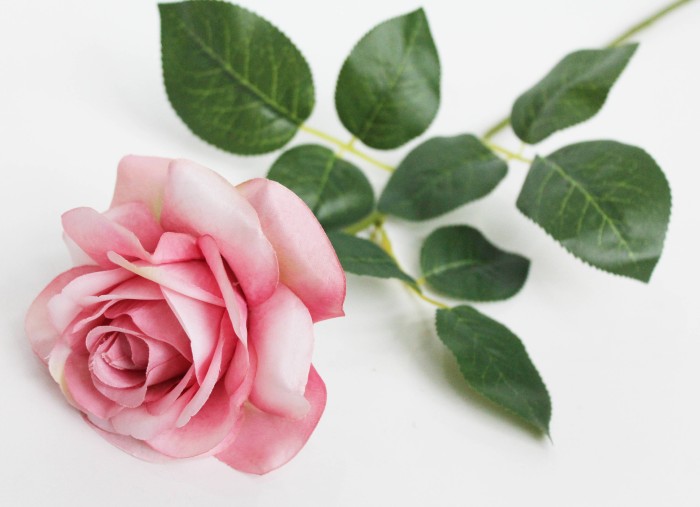 О10992 Б/С Роза открыт.по расцветкам"Глория Дэй"Н72см(100шт)