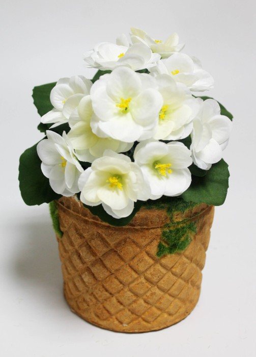 Б12227 Б/С Фиалка флористическая махровая 3 слоя 12гол."Богатая невеста"20см(10шт)