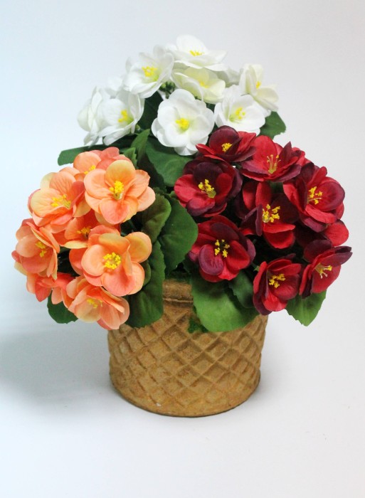 Б12227 Б/С Фиалка флористическая махровая 3 слоя 12гол."Богатая невеста"20см(10шт)