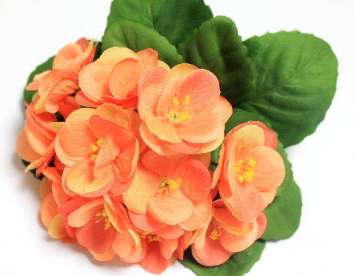 Б12227 Б/С Фиалка флористическая махровая 3 слоя 12гол."Богатая невеста"20см(10шт)