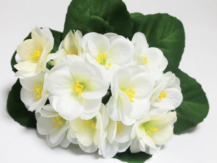 Б12227 Б/С Фиалка флористическая махровая 3 слоя 12гол."Богатая невеста"20см(10шт)