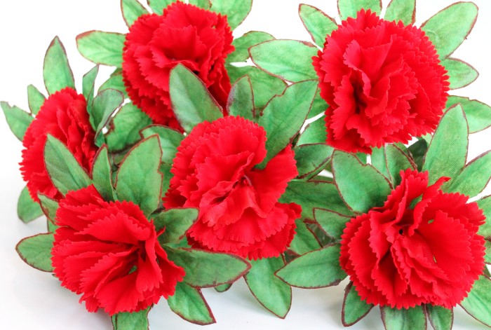 Б11553 Бук.барх.гвоздик в розетке"Огонек"6г.H47см(20шт)