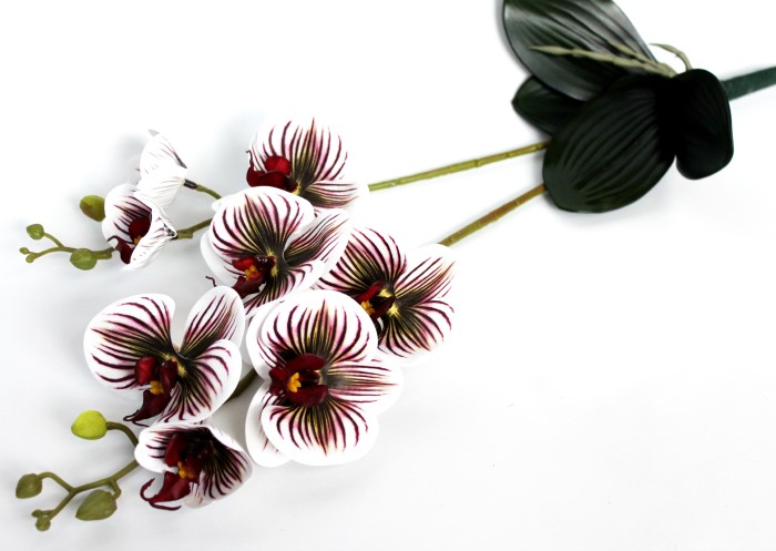 В10673 Б/С Орхидея 3Dпеч.силикон Дикий кот 2в.Н56см(6микс)