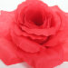 Г722  Крупная роза"Красота"хлопок 7слоев d19см (20шт)