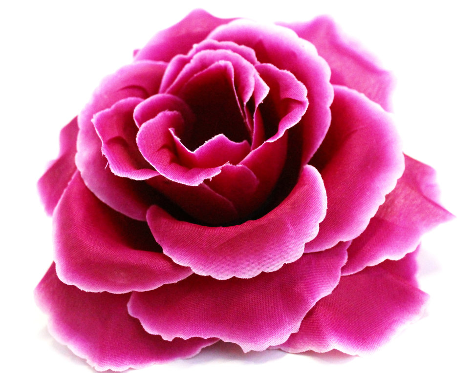 Роза Роза Libellula: описание, фото, отзывы — Розы в каталоге