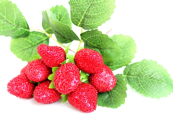 В10182 Б/С Ветка клубники"Вкусняшка"Н30см(4шт)