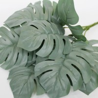 бархатисто-седой