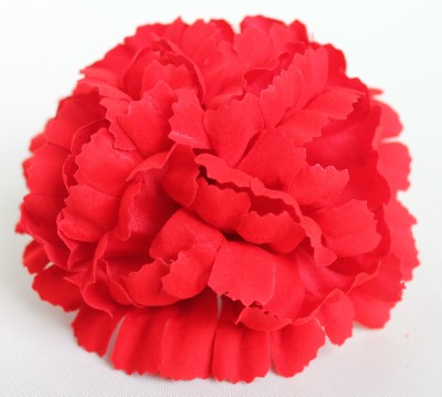 Г10174 Б/С Гвоздика яркая бархатная Н10см(50шт)