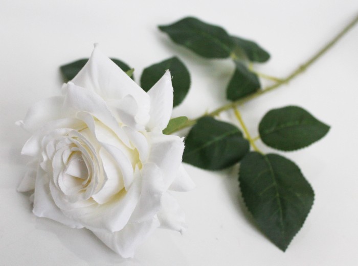 О11944 Роза по расцветкам открытая "Айвори" 65см(30шт микс)