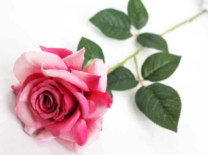 О11944 Роза по расцветкам открытая "Айвори" 65см(30шт микс)