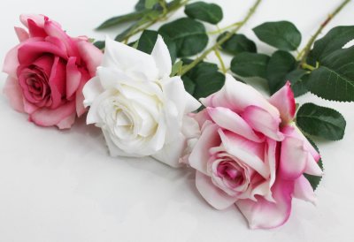 О11944 Роза по расцветкам открытая &quot;Айвори&quot; 65см(30шт микс)