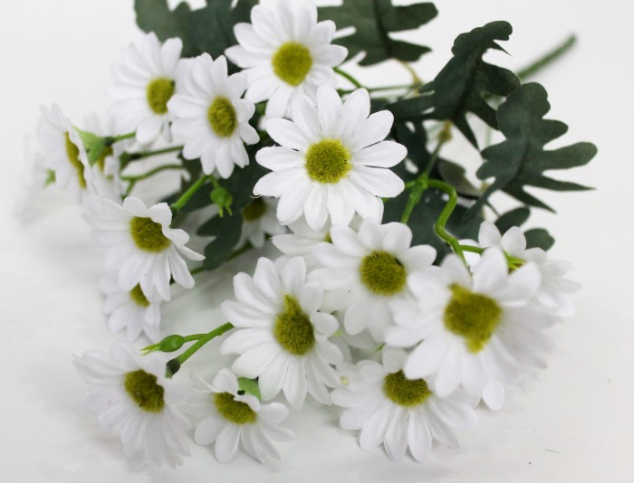 Б11461 Букет ромашка аптечная 7в.21гол.Н35см(20шт)