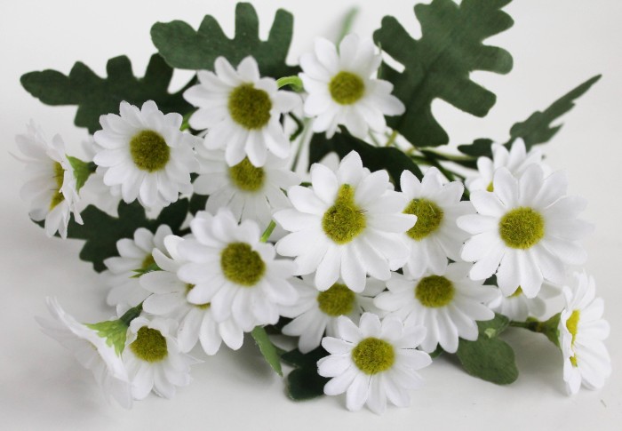 Б11461 Букет ромашка аптечная 7в.21гол.Н35см(20шт)