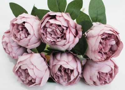 Б11741 Букет пиона 7гол.&quot;Томас&quot;Н45см(2микс)