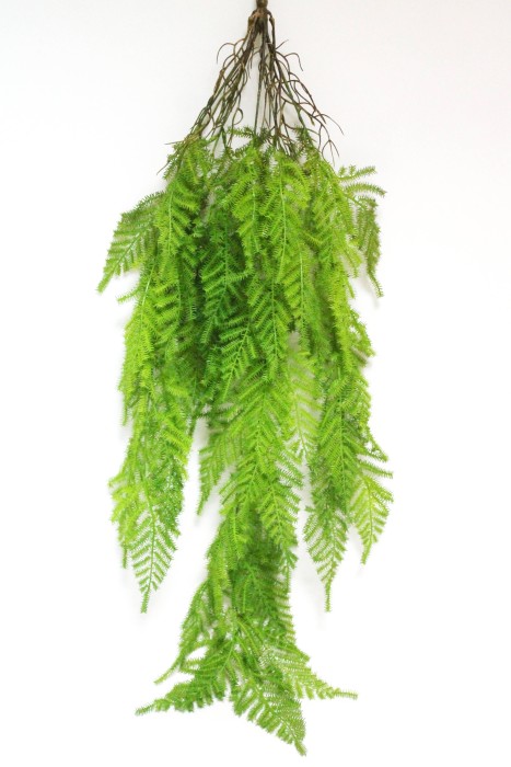 В12068 Б/С Можжевельник мягкий изумрудный казацкий с корнями 95см(2шт)