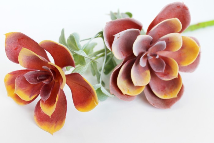 В10245 Б/С Ветка суккулента каменной розы Н37см(5микс)