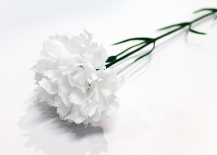 П2617 Гвоздика одиночная пластик Н50см(150шт)