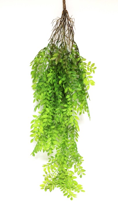 В12069 Б/С Ива мягкая с корнями 95см(2шт)