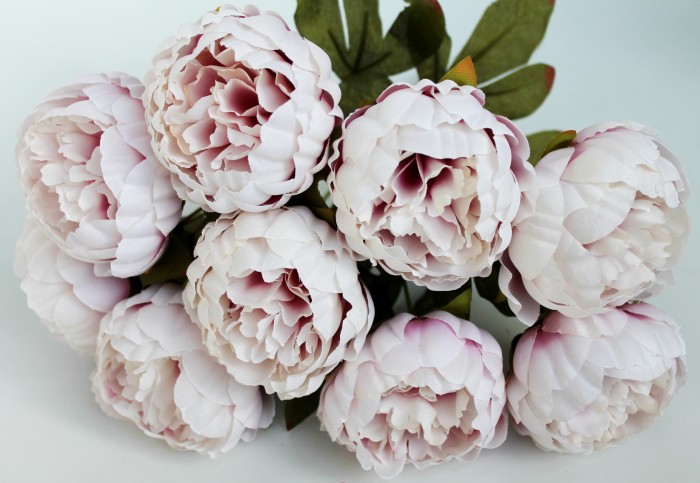 Б11736 Букет 9 гол.пиона"Карл"Н40см(4микс)