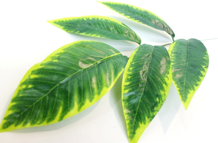 В9180 Б/С Ветка дерева с желтым краем 5лист.Н57см(12шт)