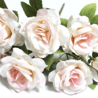 Персиковый