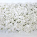 Э10350 Б/С Панно свад.из бел.цветков гортензии 42х62см