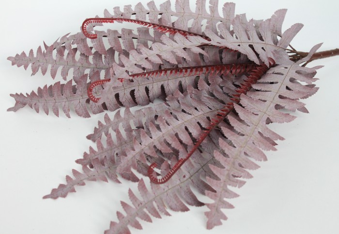 Б11653 Б/С Папорот.3 цвета 12 лист.из ткани"Багаторядник"51смН51см																					