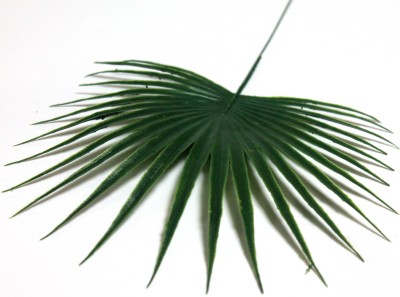 В676 Б/С Ветка пальмы (лапа) китайская Н36см(20шт)