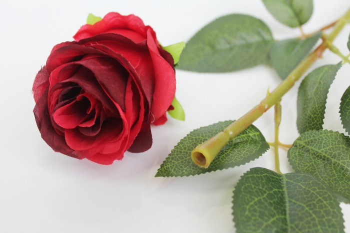 О9079 Б/С 72 см Роскошная нога для дорогой розы (20шт)