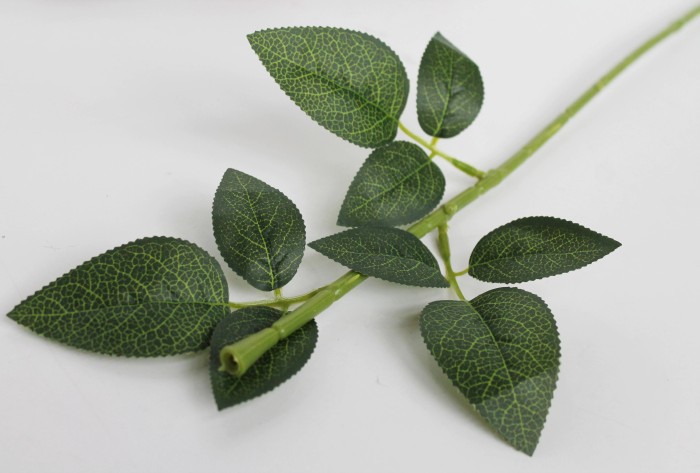 О9079 Б/С 72 см Роскошная нога для дорогой розы (20шт)