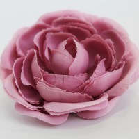 евро-розовый