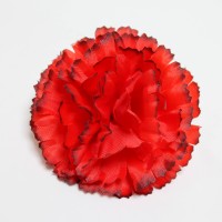 Красно-чёрный