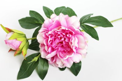 В11949 Б/С Элитный крупный пион 2гол.&quot;Бенс&quot;88см