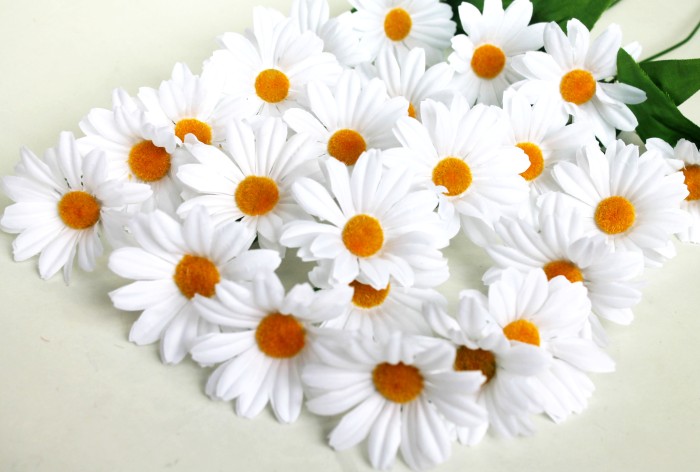 В7922 Вет.6 г.крупных ромашек нивяник Н60см(100шт)