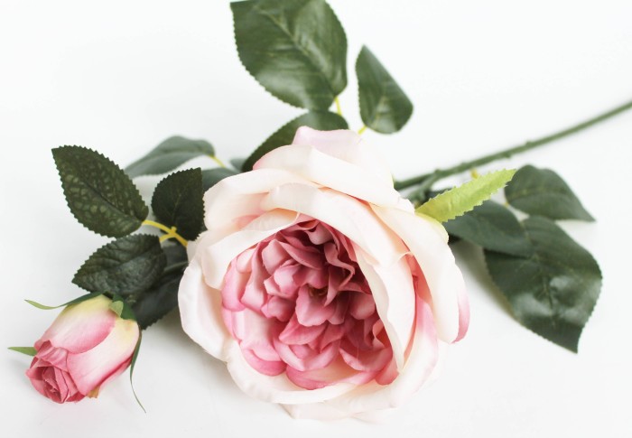 В11951 Б/С Пионовидная роза 2 гол."Дэвид Остин"63см