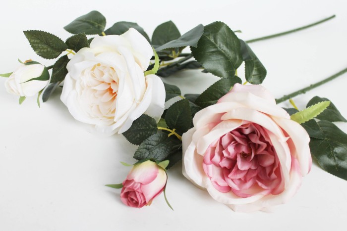 В11951 Б/С Пионовидная роза 2 гол."Дэвид Остин"63см