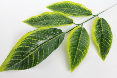 В9184 Б/С Ветка дерева магнолия 5лист.Н57см(12шт)