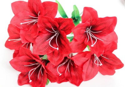 Б11723 Букет амарилисов 7г.Н52см(10микс)