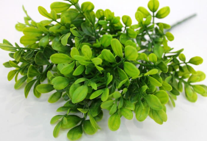 Б11462 Б/С Букет буксус самшит 5в.Н36см(10шт)