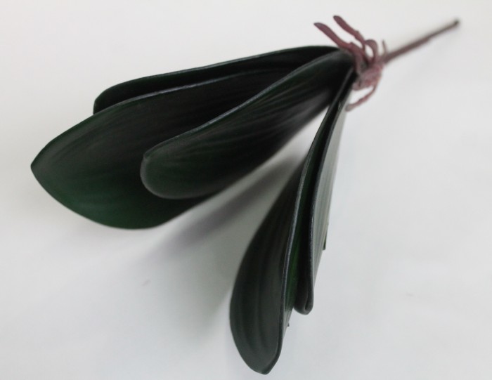 Д9569 Б/С Корешки орхидей Н26см(20шт)