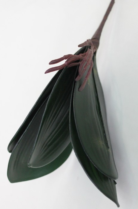 Д9569 Б/С Корешки орхидей Н26см(20шт)