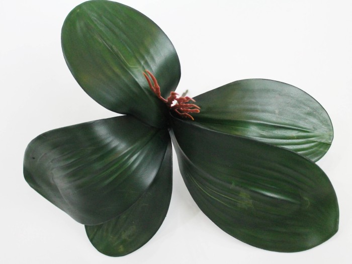 Д9569 Б/С Корешки орхидей Н26см(20шт)