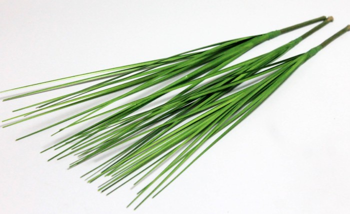 В12154 Б/С Веточка берграсс 16 листов 30см(20шт)