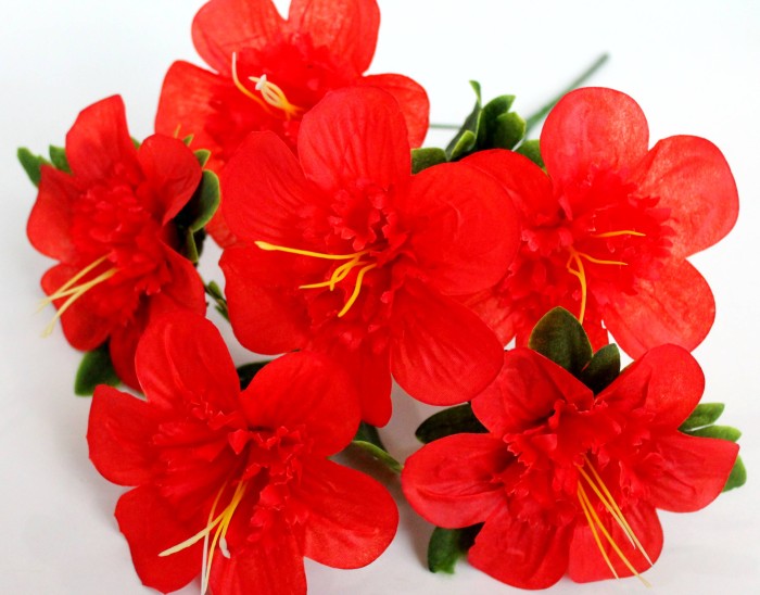 Б11955 Букет гвоздичный георгин 3 сл.6г."Незнайка"36см(50микс)