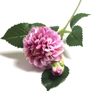 В12156 Б/С Георгин-помпон&quot;Коко Пафф&quot;с бутонном 24слоя60см(3шт)