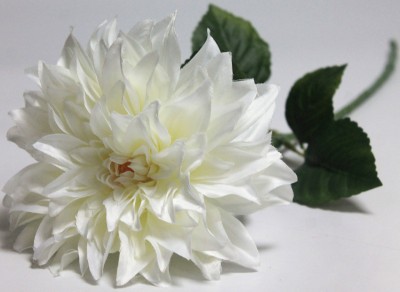 В12158 Б/С Георгин крупный 19см"Интрига"72см(3шт)