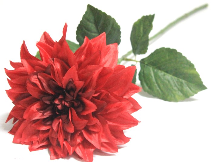 В12158 Б/С Георгин крупный 19см"Интрига"72см(3шт)